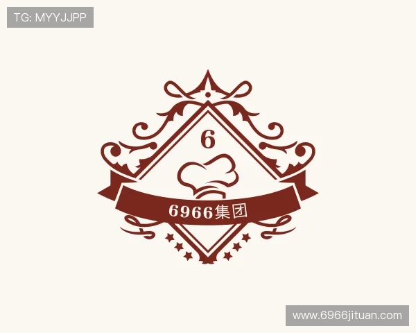 概述6966集团